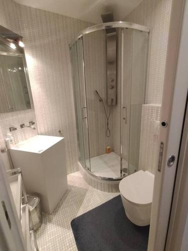 ein Bad mit einer Dusche, einem WC und einem Waschbecken in der Unterkunft Appartement - Quartier européen in Brüssel