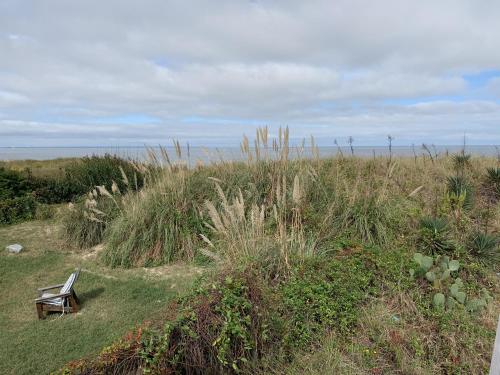 un banco sentado en la parte superior de un campo de hierba en Sandy Dunes at the Beach - Beachfront, Wi-Fi, Pets home, en North Camellia Acres