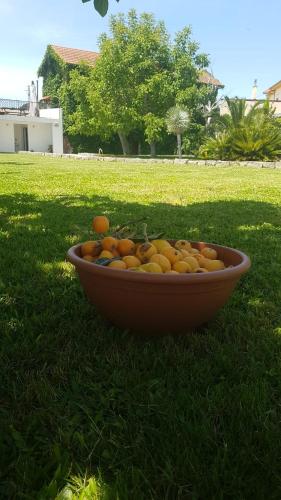 Casa Agrícola Do Limonete
