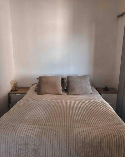 ein Bett in einem Schlafzimmer mit zwei Kissen darauf in der Unterkunft Appartement coconing , parking privé, climatisation & WIFI in Montpellier
