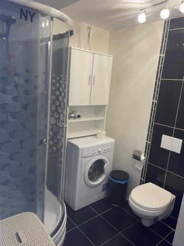 een badkamer met een wasmachine en een toilet bij Tranzzit Airport Apartment II in Otopeni
