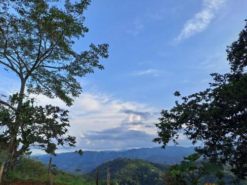 uitzicht op de bergen tussen twee bomen bij Ecohotel Casa de Descanso La Pradera in Confines