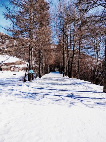 a snow covered path with trees in the distance at Gite Notre Désir in Abriès