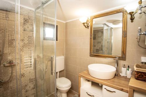 W łazience znajduje się toaleta, umywalka i prysznic. w obiekcie Rustic house w mieście Kolašin