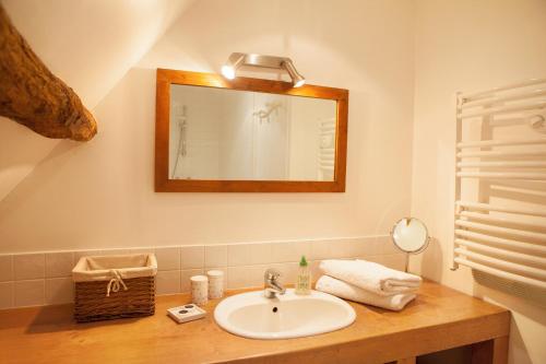 a bathroom with a sink and a mirror at A la Bergerie in Honfleur