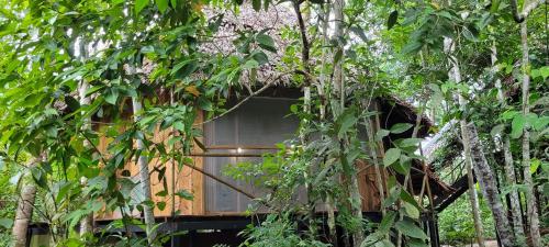 a tree house in the middle of some trees at Amaca Eco Station in Iquitos