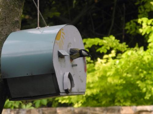 a bird is eating out of a bird feeder at Ugostiteljski objekat KARIBO in Sombor