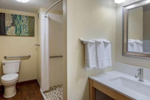 a bathroom with a toilet and a sink and a mirror at Best Western Plus South Coast Inn in Santa Barbara