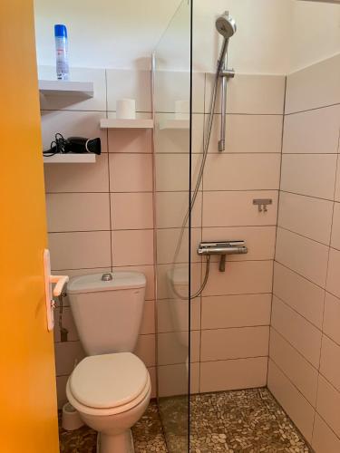 Un baño de Gîte Zandoli Koko