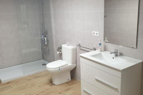 y baño con aseo, lavabo y ducha. en Precioso loft de 130 m2 en Quintanar, 