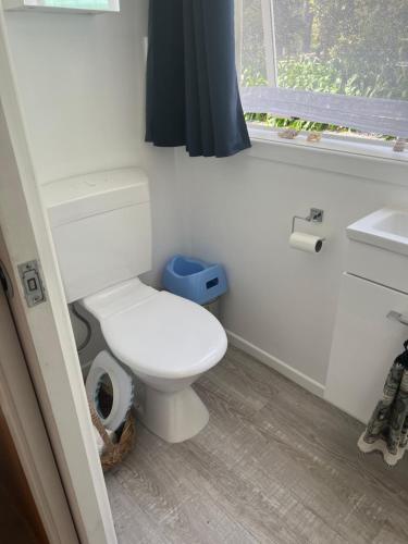 a bathroom with a toilet and a sink and a window at Waiora la grange cottage in Otaki