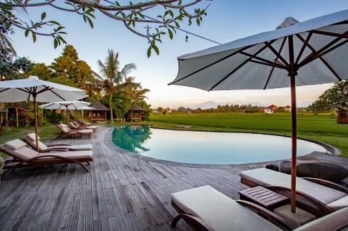 a swimming pool with lounge chairs and umbrellas next to at Arya Villas Ubud in Ubud