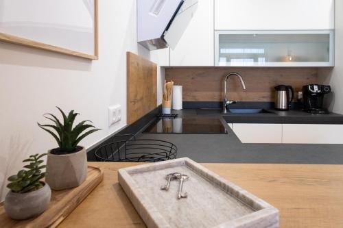 uma cozinha com um lavatório e um balcão em MH Living - 23 - Scandinavian Living Dream in Center em Graz