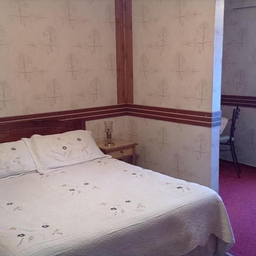 Hotel Alerce – Photos 2