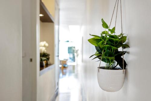 a plant in a hanging pot on a wall at St Kilda Style - Stunning 3 Bedroom House in Melbourne