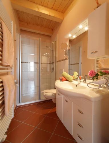 a bathroom with a shower and a sink and a toilet at Herzigs Ferienhaus Mitterdorf in Mitterfirmiansreut