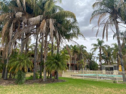 a group of palm trees next to a pool at Barmera Hotel Motel in Barmera