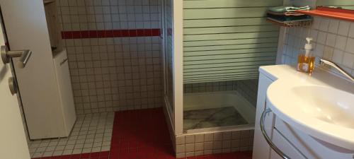 une salle de bain avec douche et lavabo dans l'établissement ApartmentMR, à Maribor