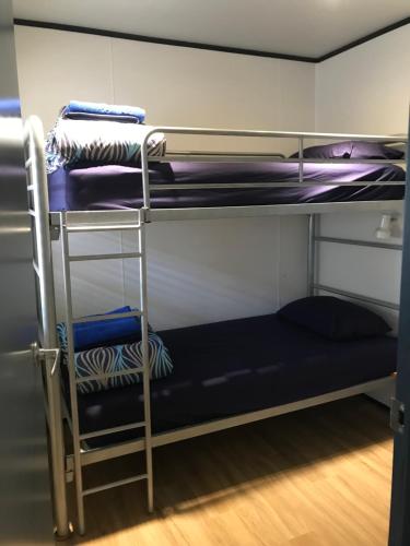 a bunk bed with a blue mattress and a ladder at Broome Vacation Village in Broome