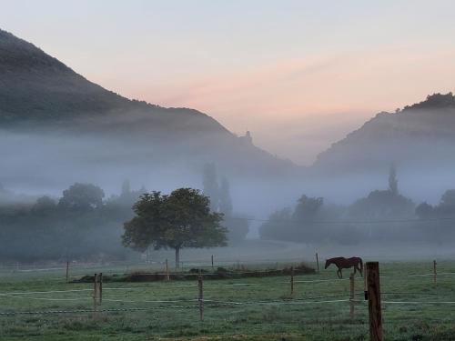 a horse standing in a field in the fog at Mas de Reilhanette in Montbrun-les-Bains