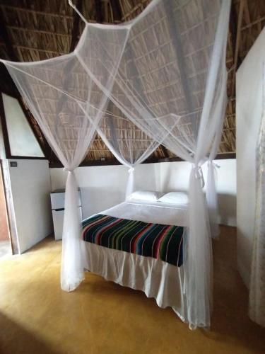 Café Maya - Zipolite – Photos 3