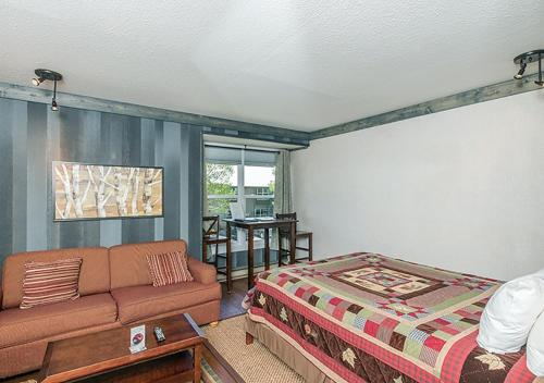 a living room with a couch and a bed at Mountainside Inn 116 Hotel Room in Telluride