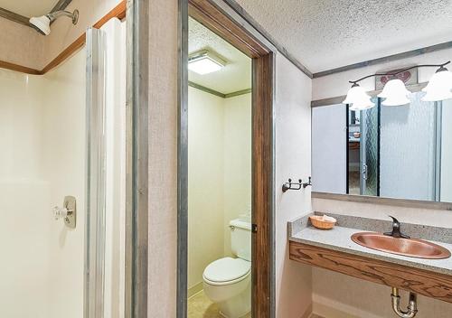 La salle de bains est pourvue de toilettes, d'un lavabo et d'un miroir. dans l'établissement Mountainside Inn 116 Hotel Room, à Telluride
