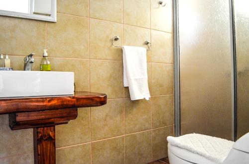 um banheiro com pia e chuveiro em Hostal Cepa Noble em Santa Cruz