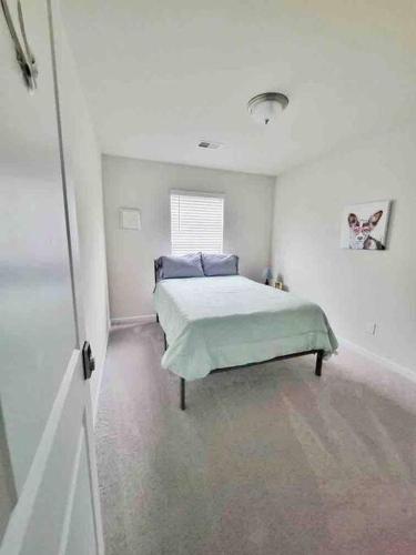 Large House, Backyard, WiFi & FreeParking – Photos 3