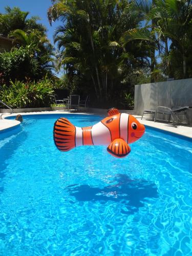 a plastic fish float in a swimming pool at Noosa Gardens Riverside Resort in Noosaville
