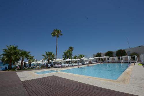 a swimming pool with umbrellas and palm trees in a resort at Silver Sands Beach Hotel in Protaras