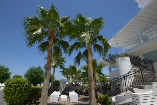 two palm trees in front of a building at Silver Sands Beach Hotel in Protaras