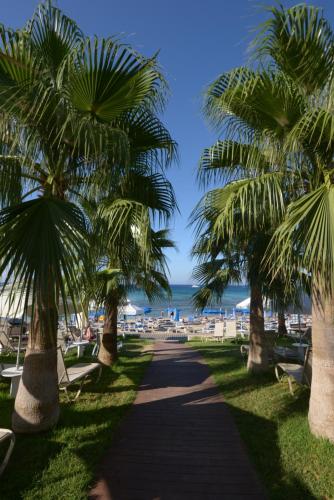 a walkway with palm trees and chairs at the beach at Silver Sands Beach Hotel in Protaras