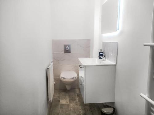 a white bathroom with a toilet and a sink at Cosy Appartement Near Luxembourg in Hayange