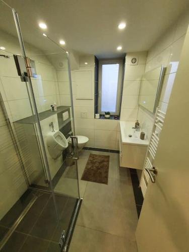 a bathroom with a shower and a toilet and a sink at WoHntel Hannover Ricklingen in Hannover