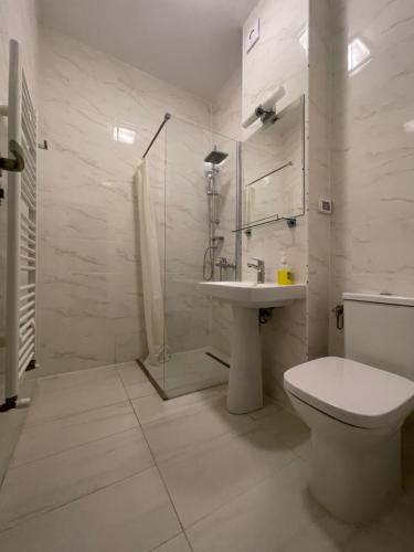 a bathroom with a toilet and a sink and a shower at NEW Central nr2 Self Checkin OldCity Center Paid Parking with Lift in Timişoara