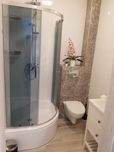 a bathroom with a shower and a toilet at Apartament na Zaciszu in Kąty Rybackie