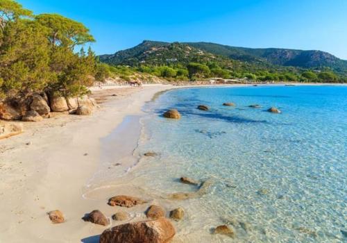 a beach with rocks in the water and trees at Casa Agatha : Villa avec piscine in Figari