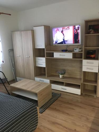 a living room with a tv and wooden furniture at PODHÁJSKA 110 in Podhájska