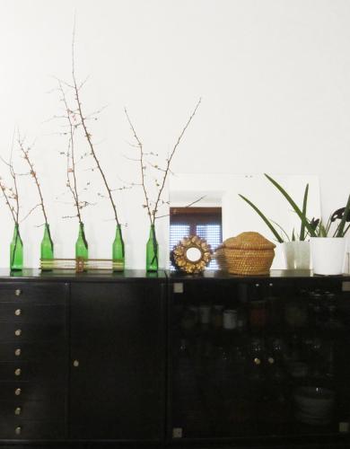 a black cabinet with green bottles and plants on it at Art Design Duomo Suites in Milan