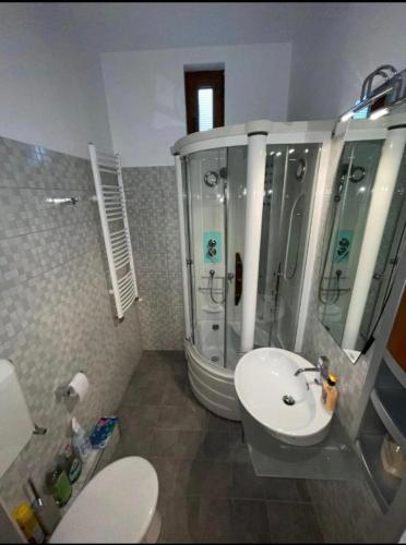 een badkamer met een douche, een toilet en een wastafel bij Mediterranean Downtown Apartment in Arad