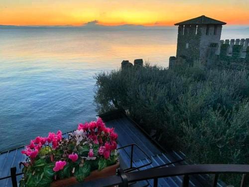 a group of pink flowers in a pot on a ledge at Hotel Grifone in Sirmione