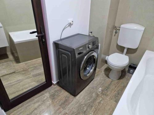 - un lave-linge dans la salle de bains pourvue de toilettes dans l'établissement Danube Double, à Brăila