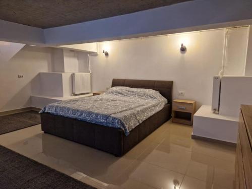 ein Schlafzimmer mit einem Bett in einem Zimmer in der Unterkunft Danube Double in Brăila