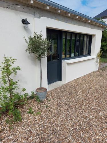 Photo de la galerie de l'établissement Gite lumineux de 45m2 en cœur de ville, à Saint-Avertin