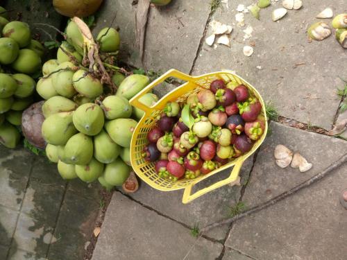 a basket of fruit sitting on the ground at Coco Happy Farm in Ben Tre