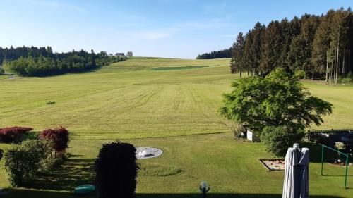 a view of a green field with a putting green at Wirt in der Spöck in Neukirchen an der Vöckla