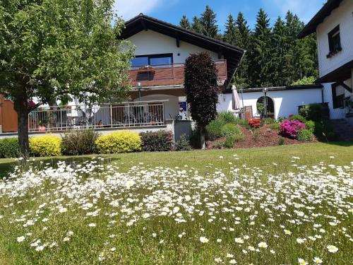a field of white flowers in front of a house at Wirt in der Spöck in Neukirchen an der Vöckla