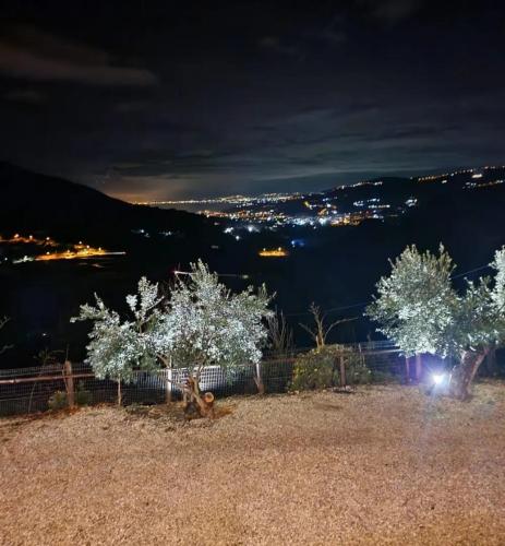 two trees on a hill at night at Dimora dei Cardinali in Agropoli