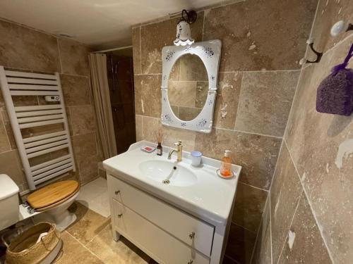 a bathroom with a sink and a mirror and a toilet at Duplex Atelier / coeur de Lourmarin in Lourmarin